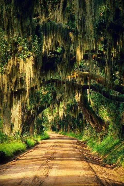 fb_20160618_12_33_01_saved_picture