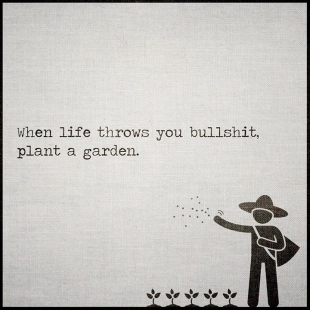 fb_20161009_22_48_37_saved_picture