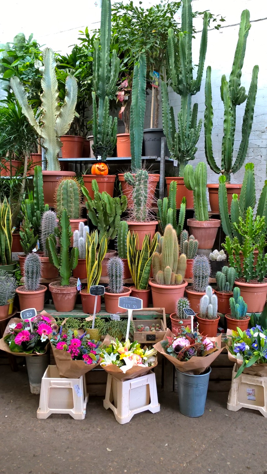 The Best Garden Centre In East London Is Also Absolutely&nbsp;Gorgeous