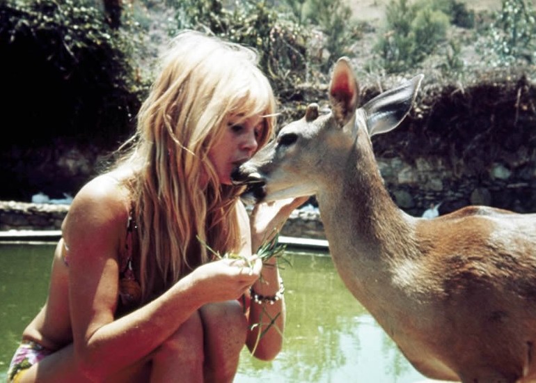 That Time Brigitte Bardot Gave Up Everything To Care For&nbsp;Animals