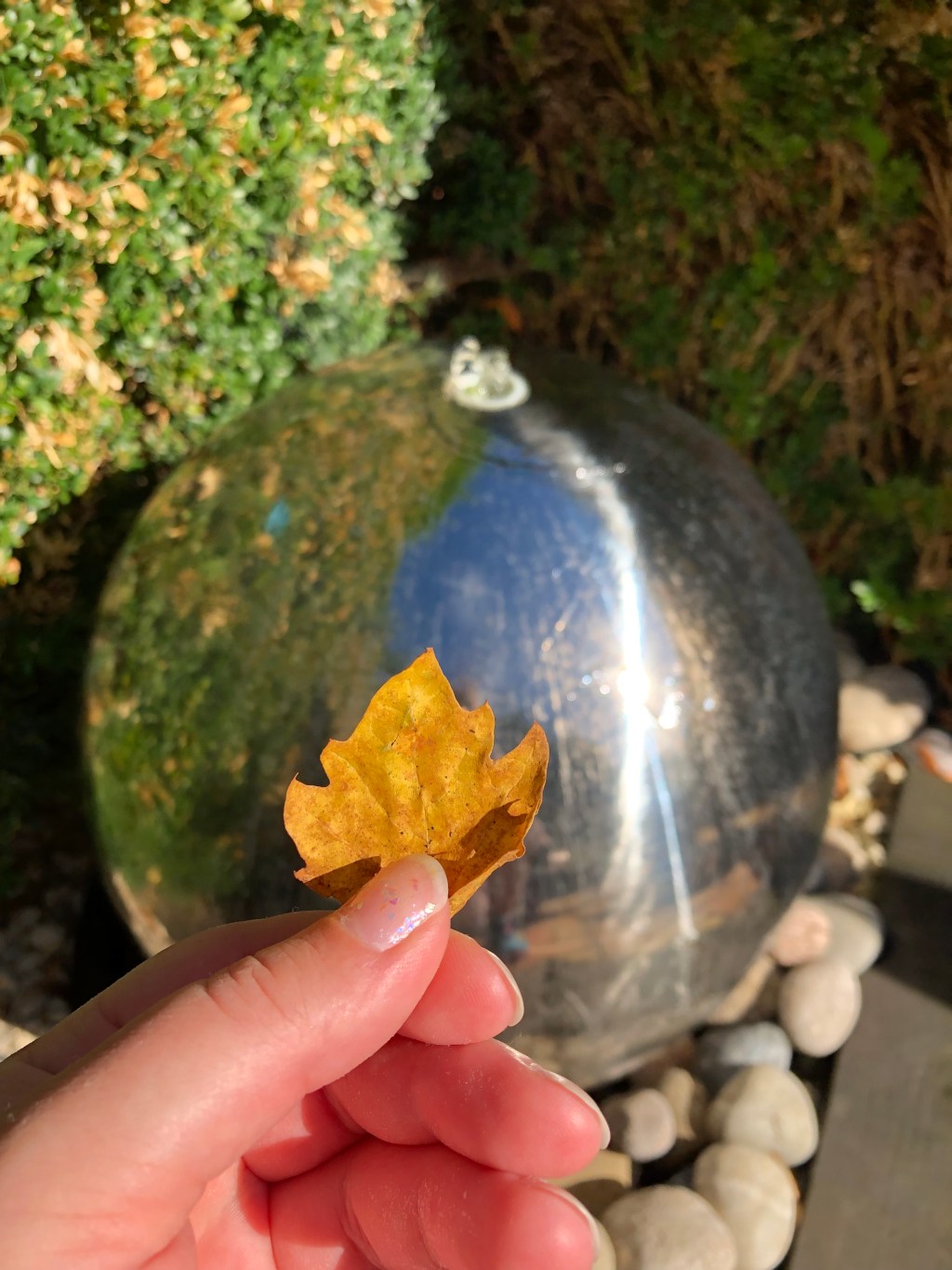 The Next Chapter: What The Earth Spirits Told&nbsp;Me