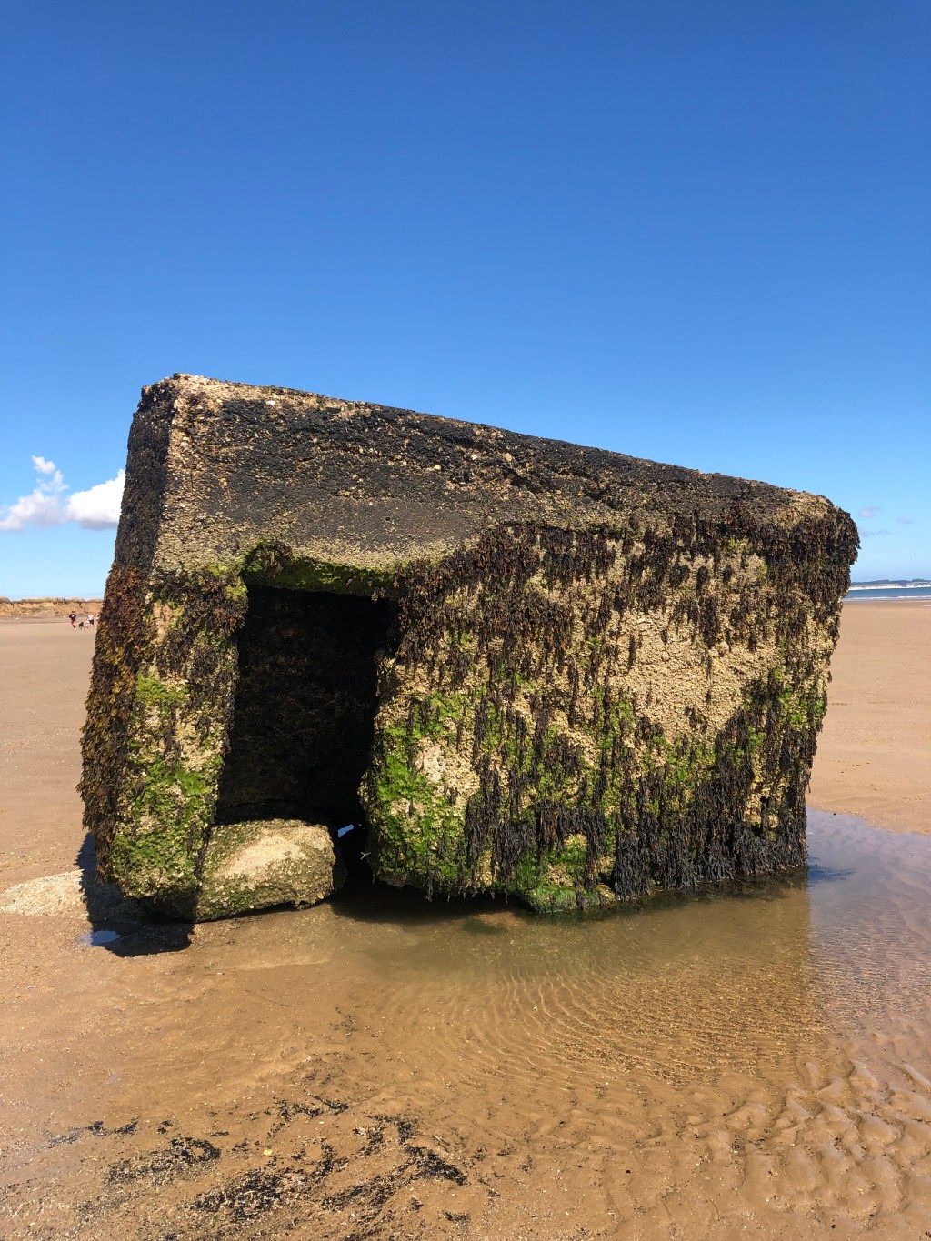 What Happened Here? The Unexpected Story of Barmston&nbsp;Beach