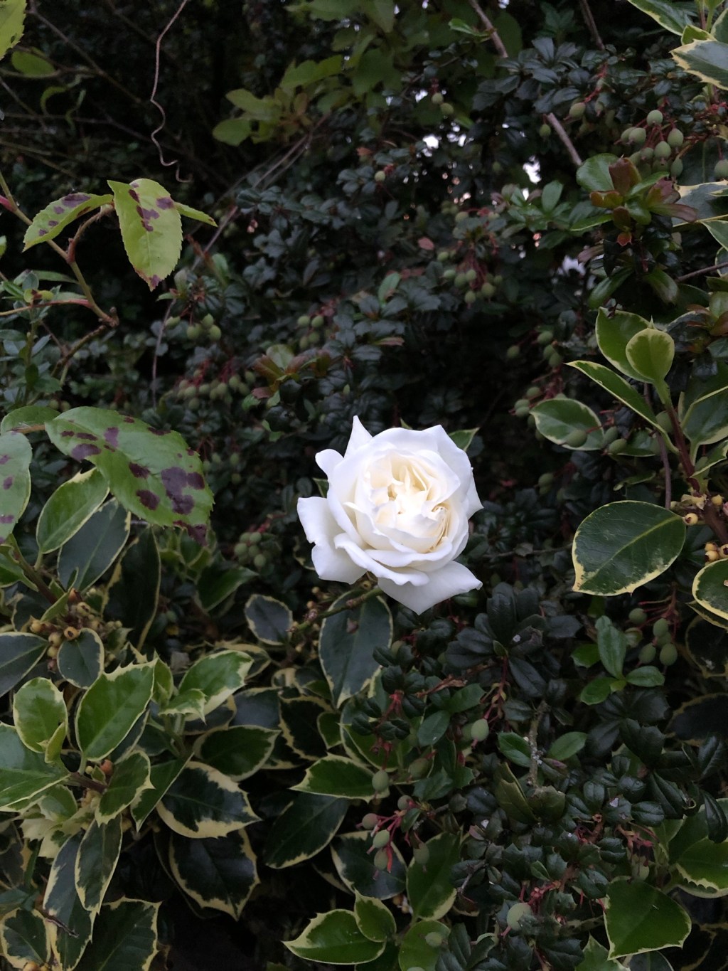 My True Year Of Grief & Growth: Reflecting On All 2023 Gave&nbsp;Me