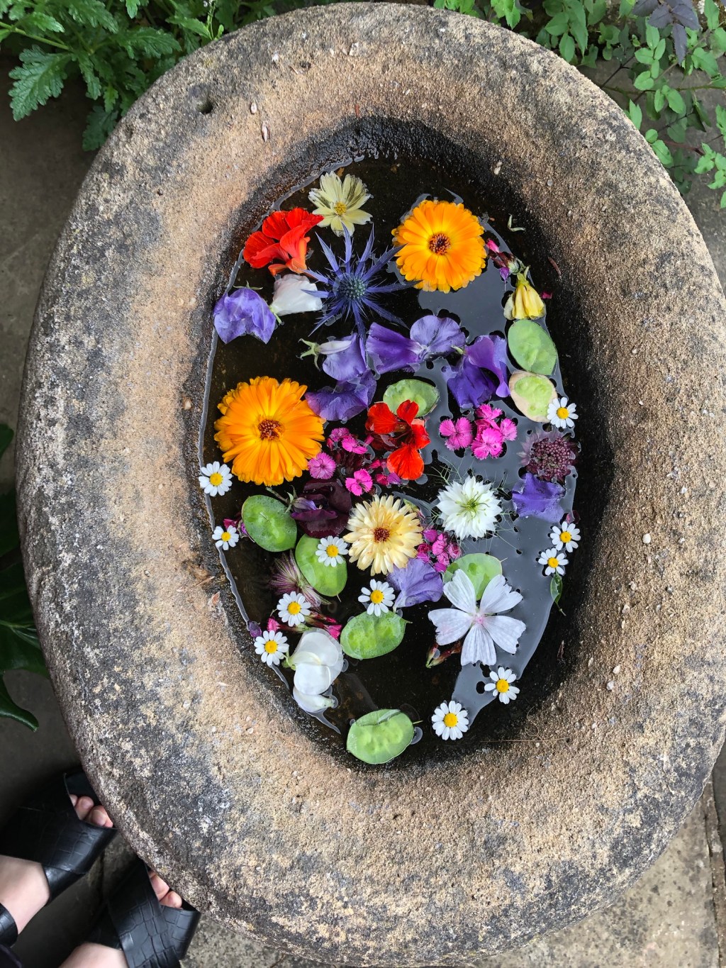 Seasons May Change… 8. Pictures That Help Me Appreciate The Delicate Balance Between Humans & Nature This Beltane&nbsp;🌸